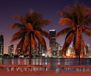 Quiz: Which Miami neighborhood should you live in?
