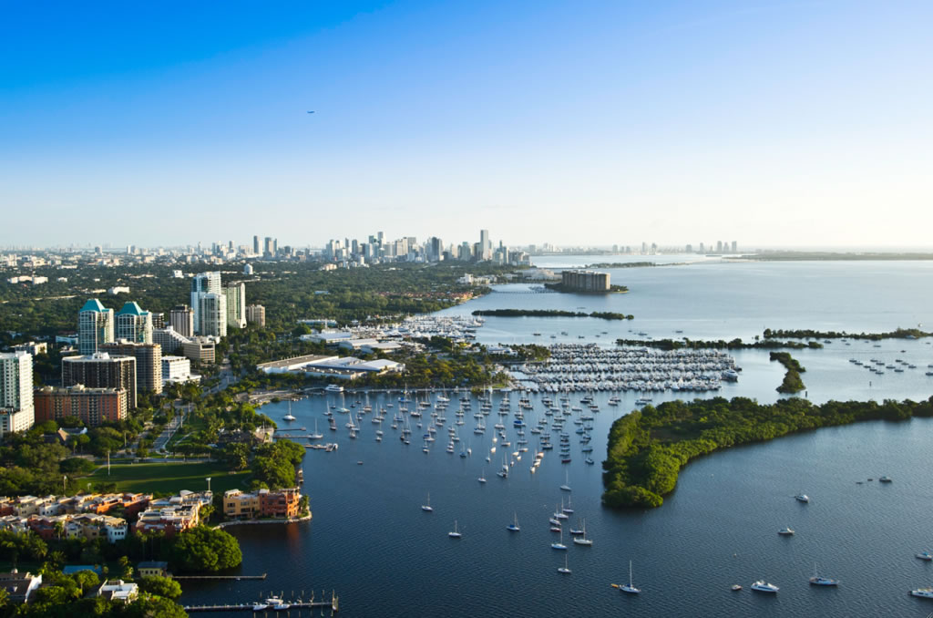 5 reasons buyers from around the globe love Coconut Grove