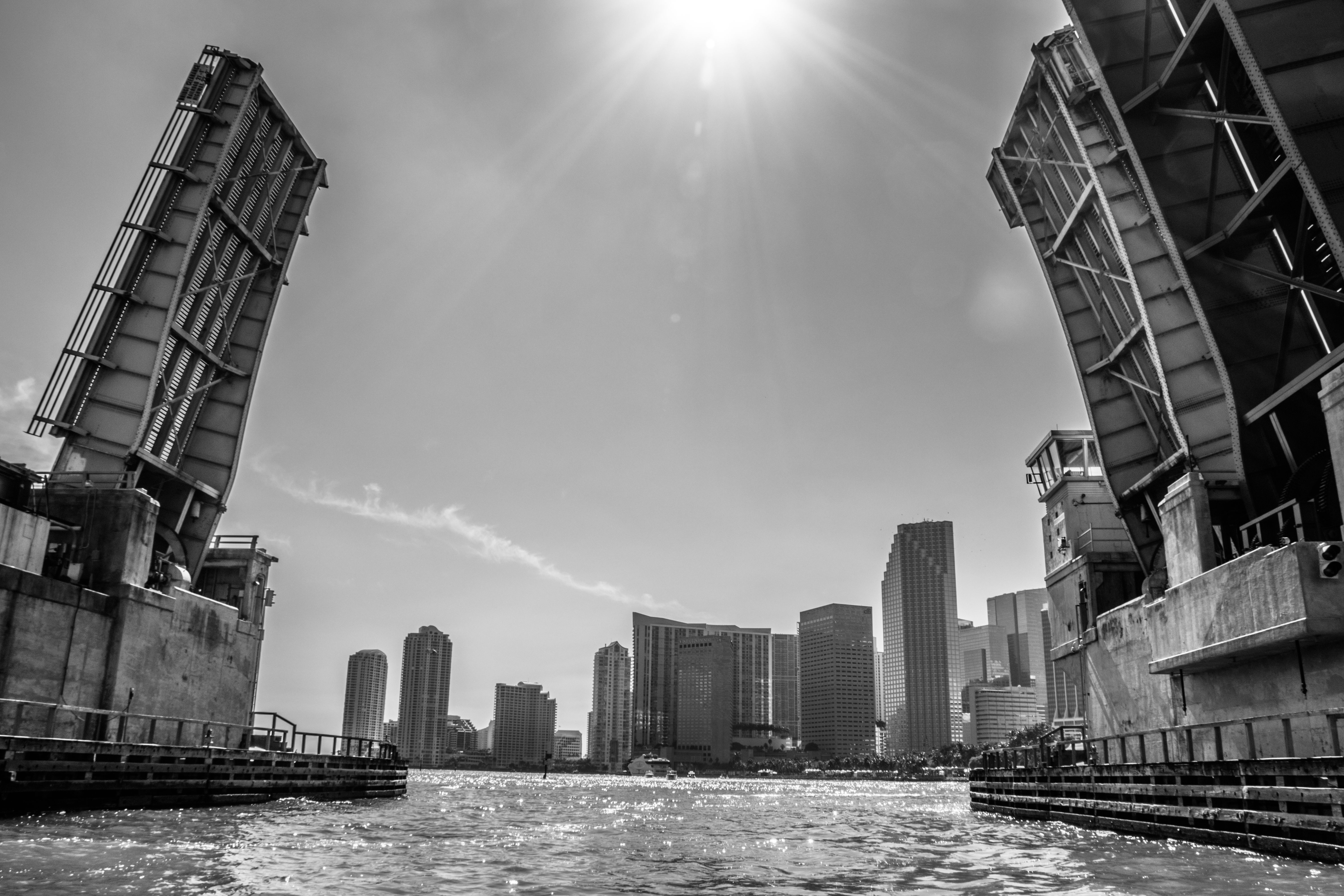 Conoce las ventajas financieras de abrir un negocio en Miami de Access Miami