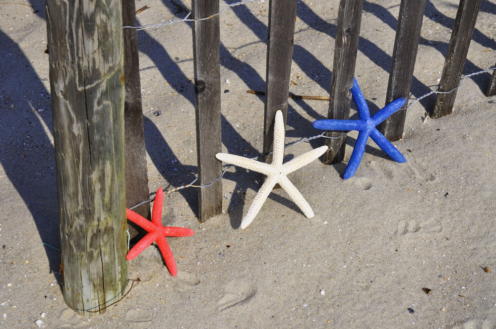 Happy 4th of July!