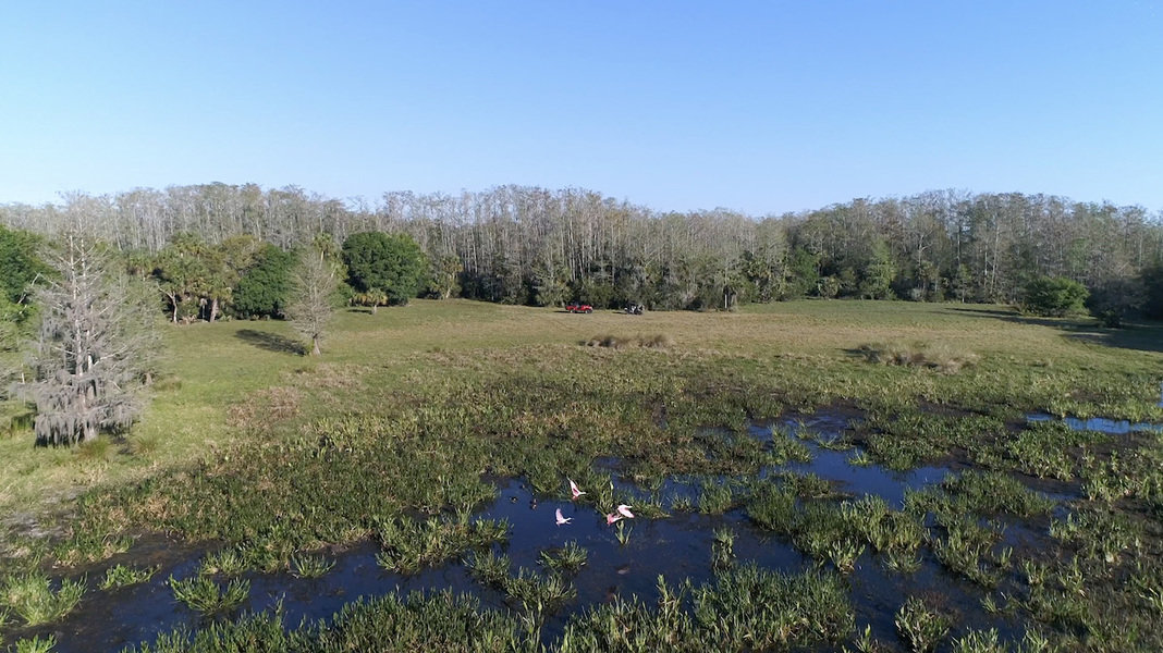 4,000-Acre Florida Ranch is for sale at $26.3 Million